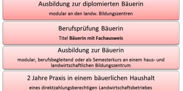 Der Weg zur Bäuerin. (Bild Schweizer Bäuerinnen- und Landfrauenverband)