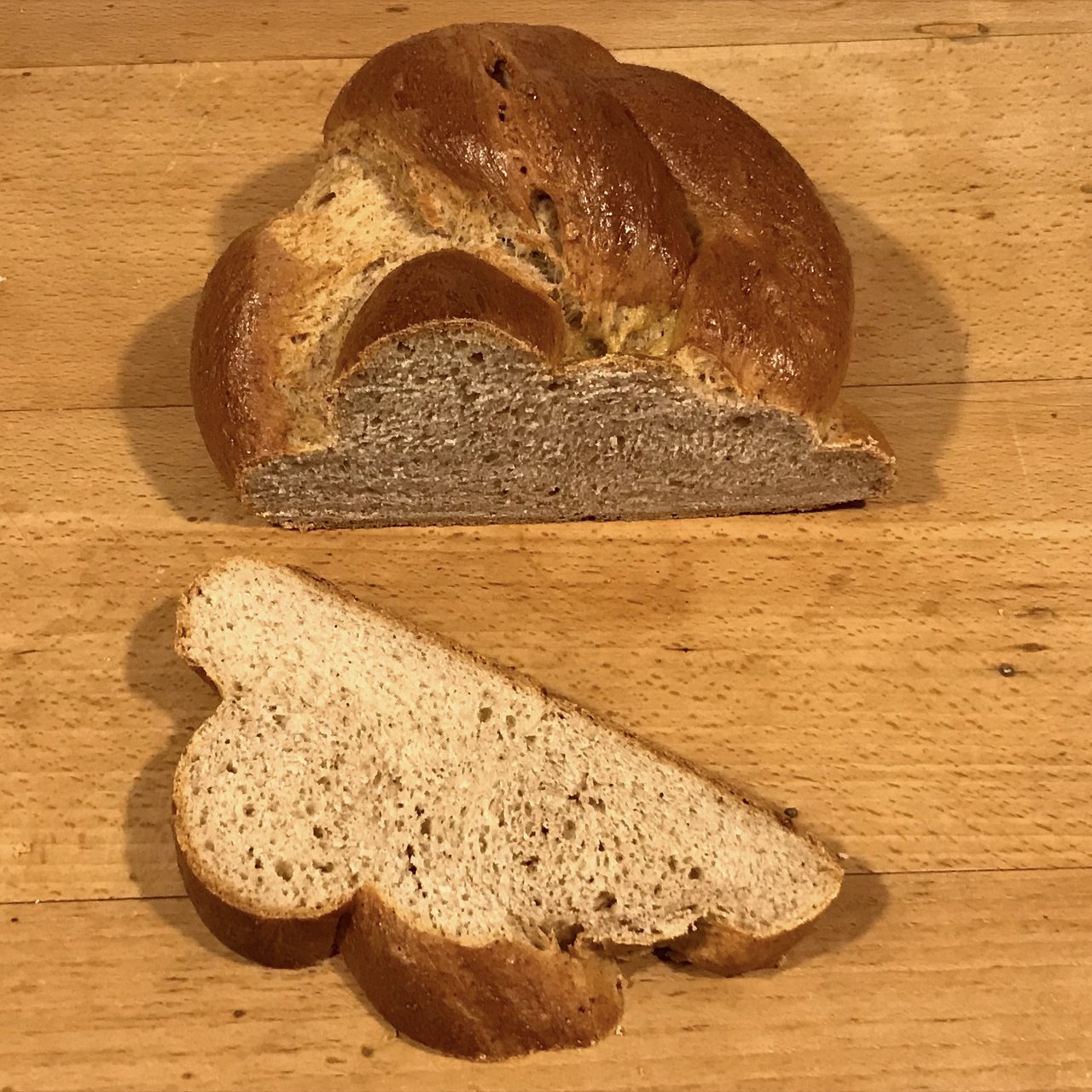 Erfahrungen mit dem Anbau von Nahrungsmittel-Sorghum - bauernzeitung.ch ...