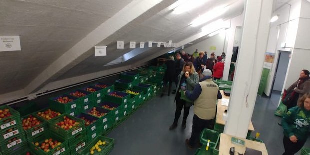 Die Firma Öpfelchasper aus Zürich rettete 5,2 Tonnen Hochstammäpfel. (Bild Facebook/Öpfelchasper)