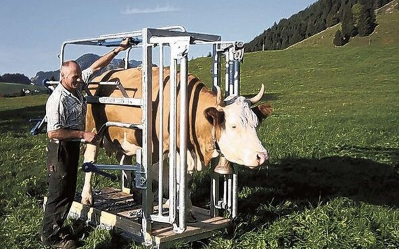 2009 holte Studer die Trophäe mit dem Klauenpflege-, Behandlungs- und Transportstand (KBT).