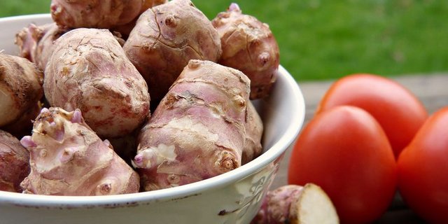 Seit 1978 wird Topinambur im Berner Seeland wieder im grösseren Stil angebaut. (Bild Pixabay)