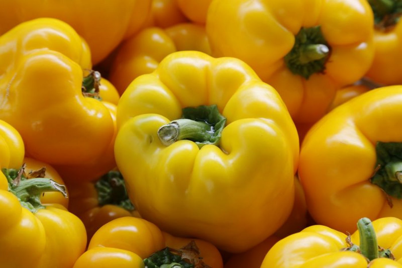 Peperoni wirkt sich positiv auf die Verdauung aus, fördert die Bildung von Magensaft und wirkt antibakteriell - zudem gilt das Gemüse als appetitanregend. (Bild lid/ji)