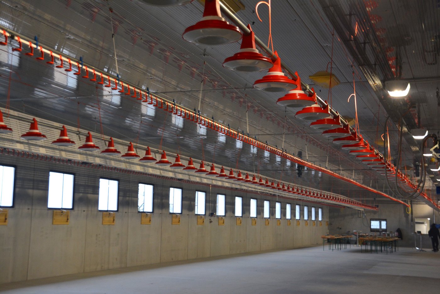 Die Halle wurde mit Thermo-Betonelementen erstellt. Zum Ausmisten können alle Einrichtungen hochgezogen werden.