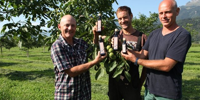 Fünf Bauern im St. Galler Rheintal haben die Nussgesellschaft Wartau gegründet und eine professionelle Walnuss-Produktion etabliert. (Bilder Emmental Versicherung)