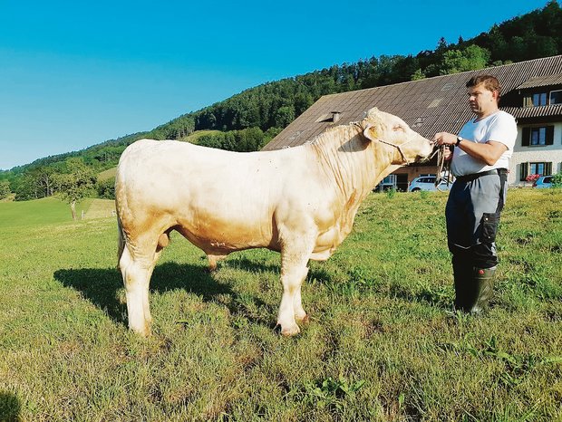 Das Highlight in Langenbruck sind heuer Ueli Bader und sein handzahmer sowie genetisch hornloser Stier Rondo. (Bild zVg)
