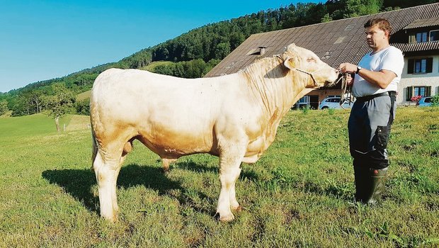 Das Highlight in Langenbruck sind heuer Ueli Bader und sein handzahmer sowie genetisch hornloser Stier Rondo. (Bild zVg)