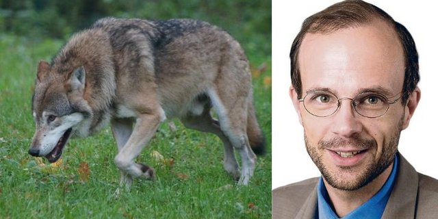 Roland Norrer ist  Professor für öffentliches Recht und Recht des ländlichen Raums an der Universität Luzern. (Bilder Pixabay / Uni Luzern )