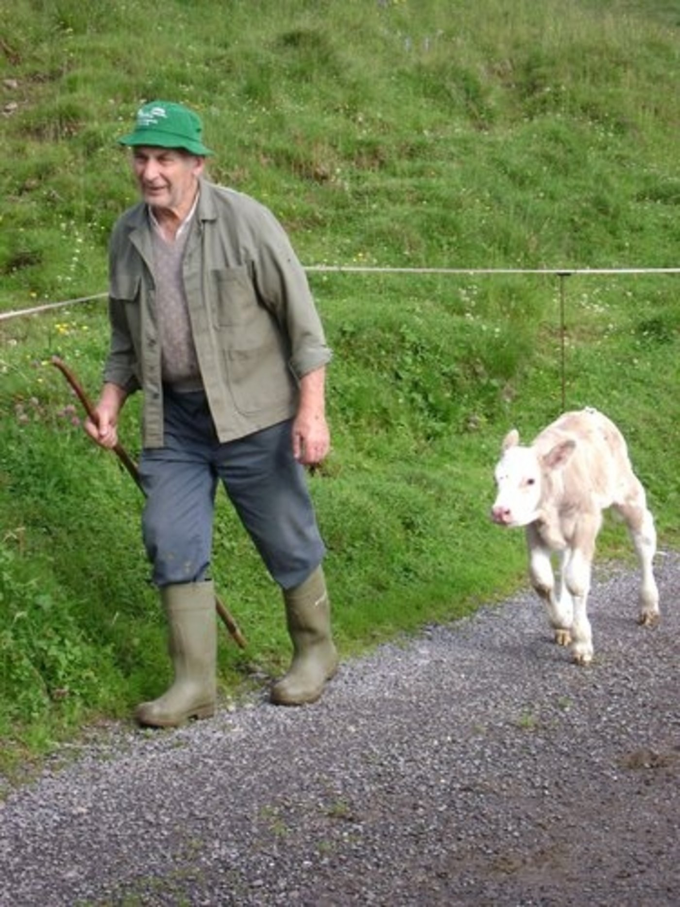 Im Vergleich geht es den Schweizer Bauern gut, sagt Claudia Gysel. (Bild: Leni Aeschlimann/landwirtschaft.ch)