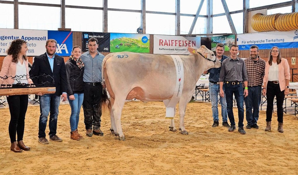Sie ist stabil gebaut, verfügt über einen sehr guten Bewegungsapparat und holte sich so den Sieg an der Eliteschau in Gais: die Champion Soraya Siesta von Konrad Bodenmann aus Gais AR. 