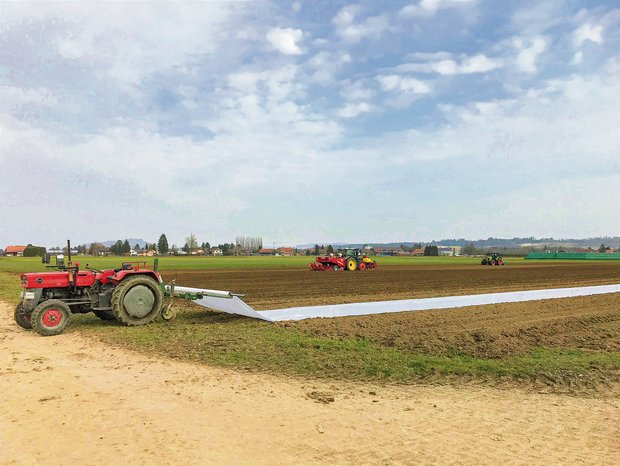 Hochbetrieb auf dem Acker von Familie Wyss Das Vlies wird auf dem Kartoffelacker ausgelegt, gespannt und dann mit Erde beschwert. (Bild Lukas Streit)