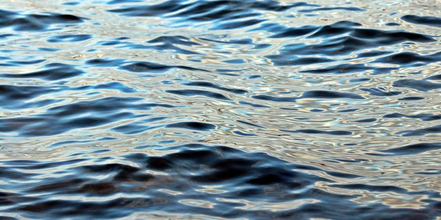 Der Lenker konnte sich selbst retten und kam ohne Verletzung davon, so die Berner Zeitung. (Symbolbild pixel2013 / Pixabay)