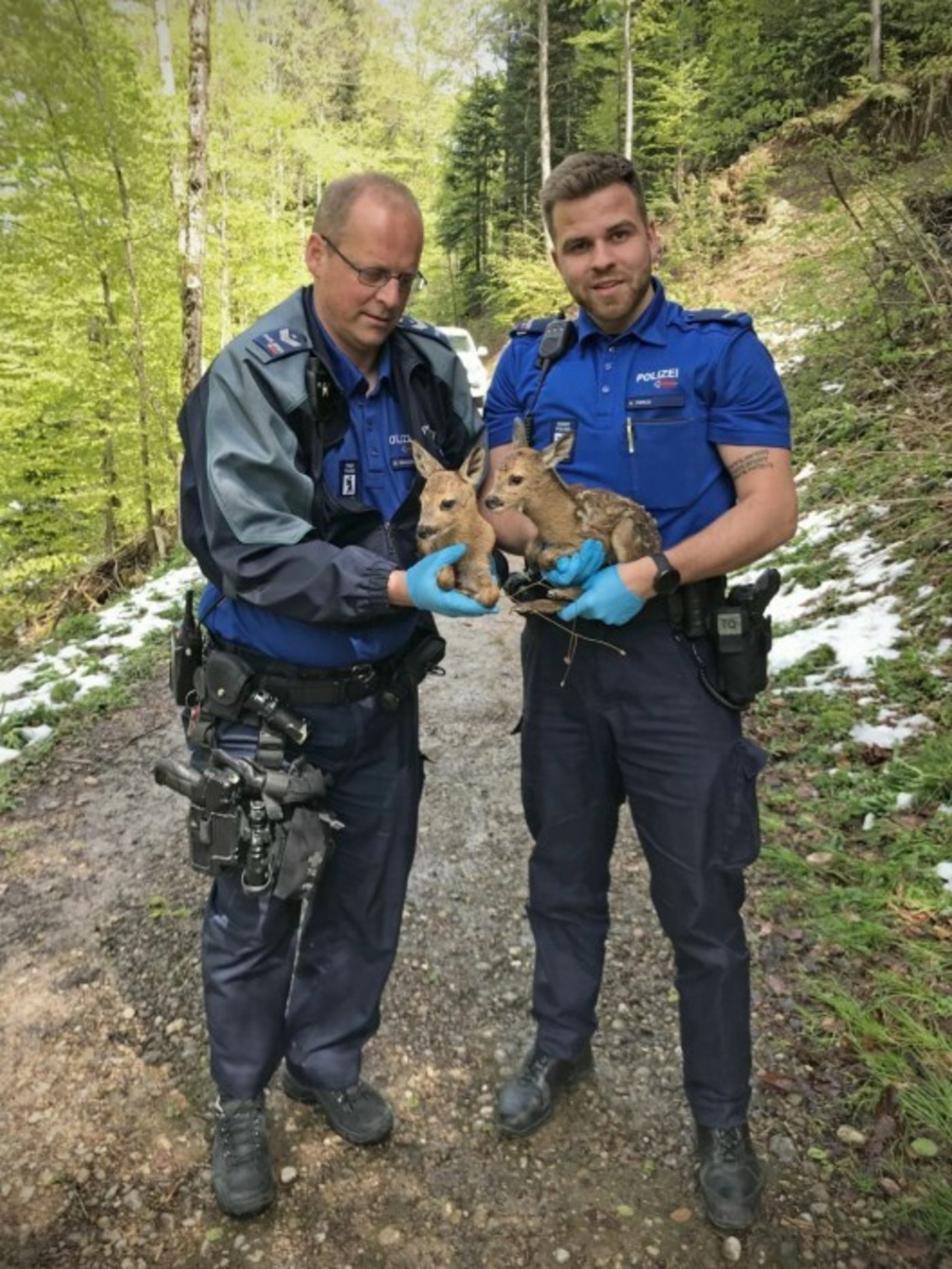 Die Polizisten fassen die Kitze nur mit Handschuhen an, damit sie keinen Menschengeruch annehmen.