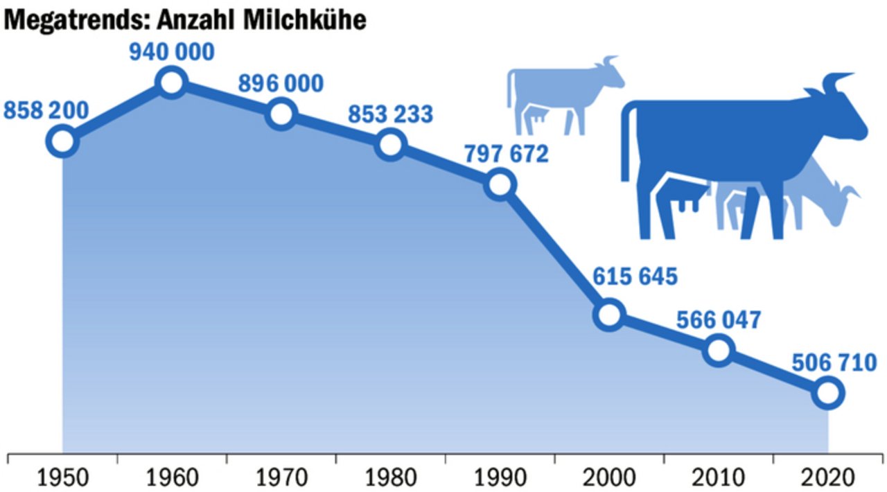 Die Anzahl Milchkühe in der Schweiz nimmt weiter ab. Um 1960 erreichte sie einen Höhepunkt. 