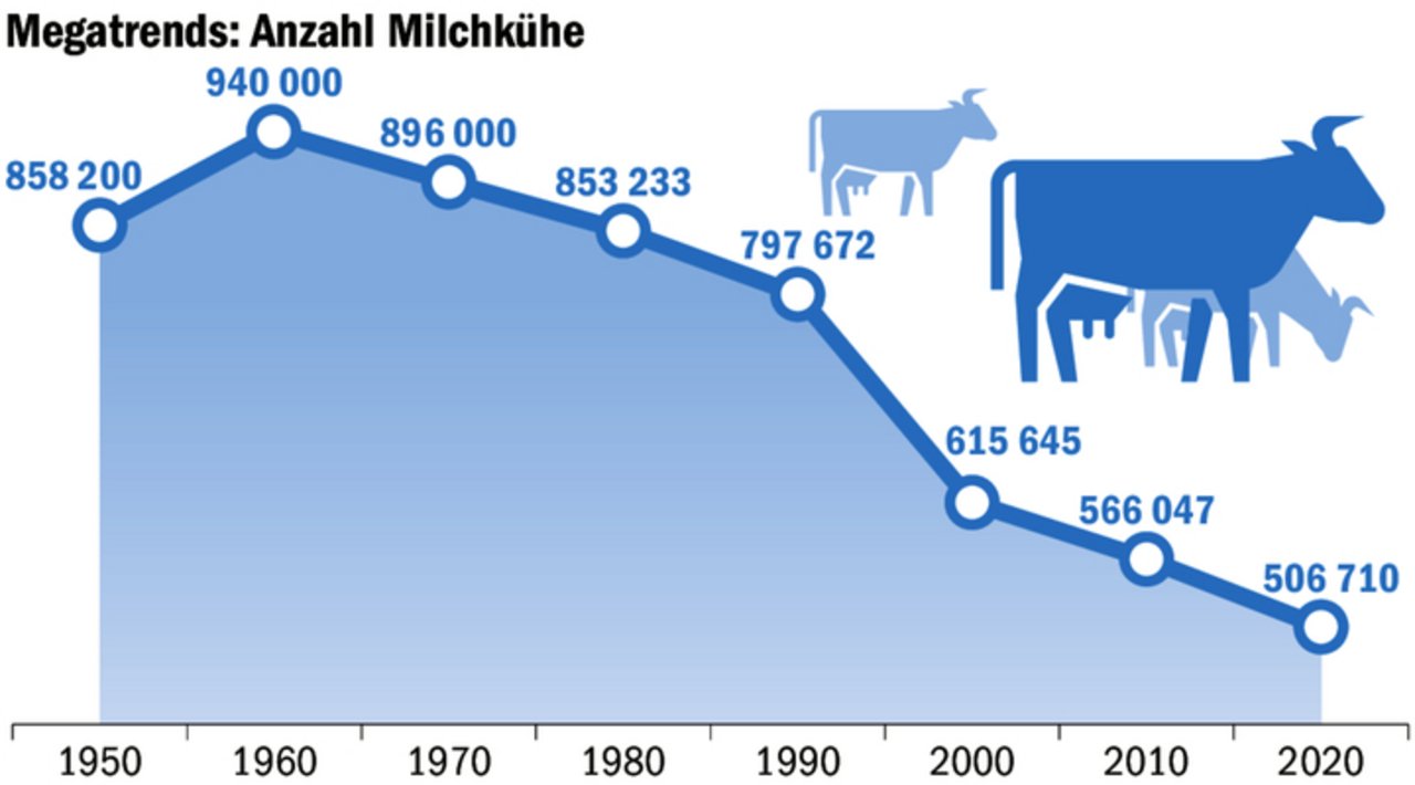 Die Anzahl Milchkühe in der Schweiz nimmt weiter ab. Um 1960 erreichte sie einen Höhepunkt. 