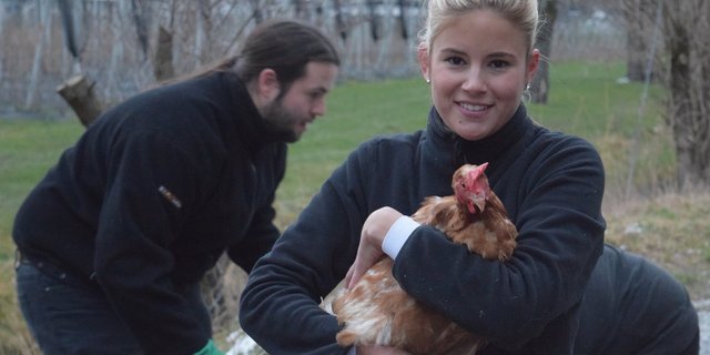 Helferin Simone Maurer mit geretteter Henne. (Bild Susy Utzinger Stiftung)