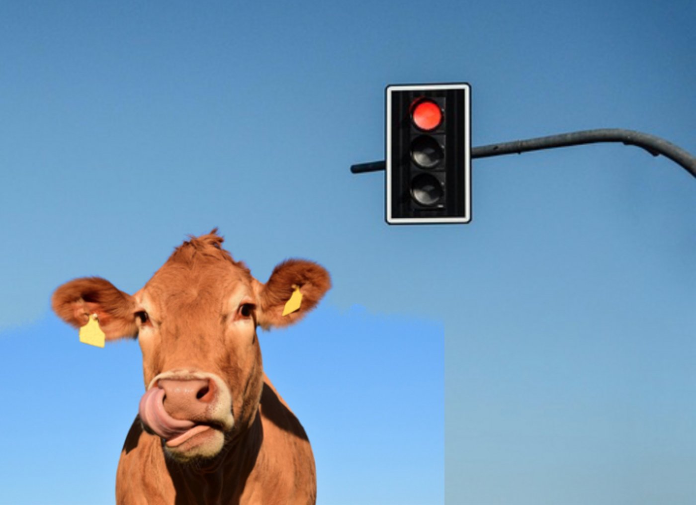 Das Lichtsignal ging nie in Betrieb, da der Landwirt den Schlüssel für die Aktivierung nicht abgeholt hatte. (Fotomontage Pixabay)