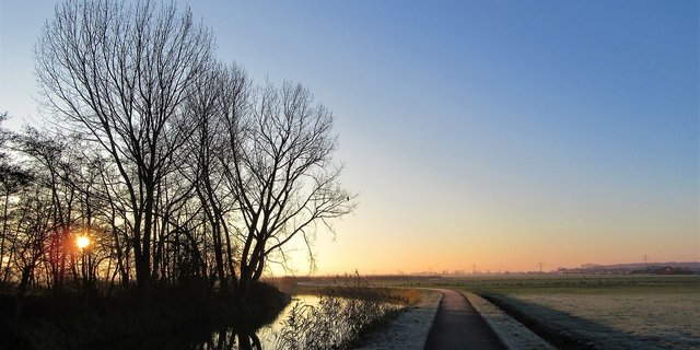 Die Debatte über die Pflanzenschutz-Initiativen hätte die Möglichkeit geboten, über das gewünschte Ernährungssystem der Zukunft zu diskutieren. Stattdessen werde ein sinnloser Krieg geführt, bedauert Uniterre. (Bild FotoRieth / Pixabay) 