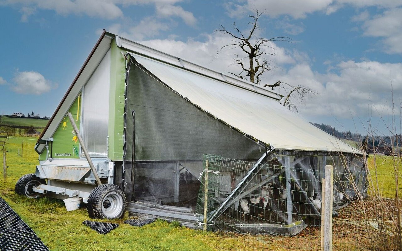 Bei einem mobilen Hühnerstall ist ein Netz bis hin zum Boden gelassen, damit die Hühner im Aussenklimabereich geschützt sind.