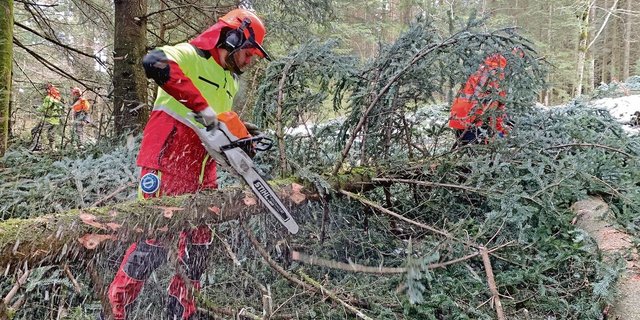 Auch richtiges Entasten will gelernt sein. Jan Felder im Einsatz am Holzerkurs im Eigenthal. 