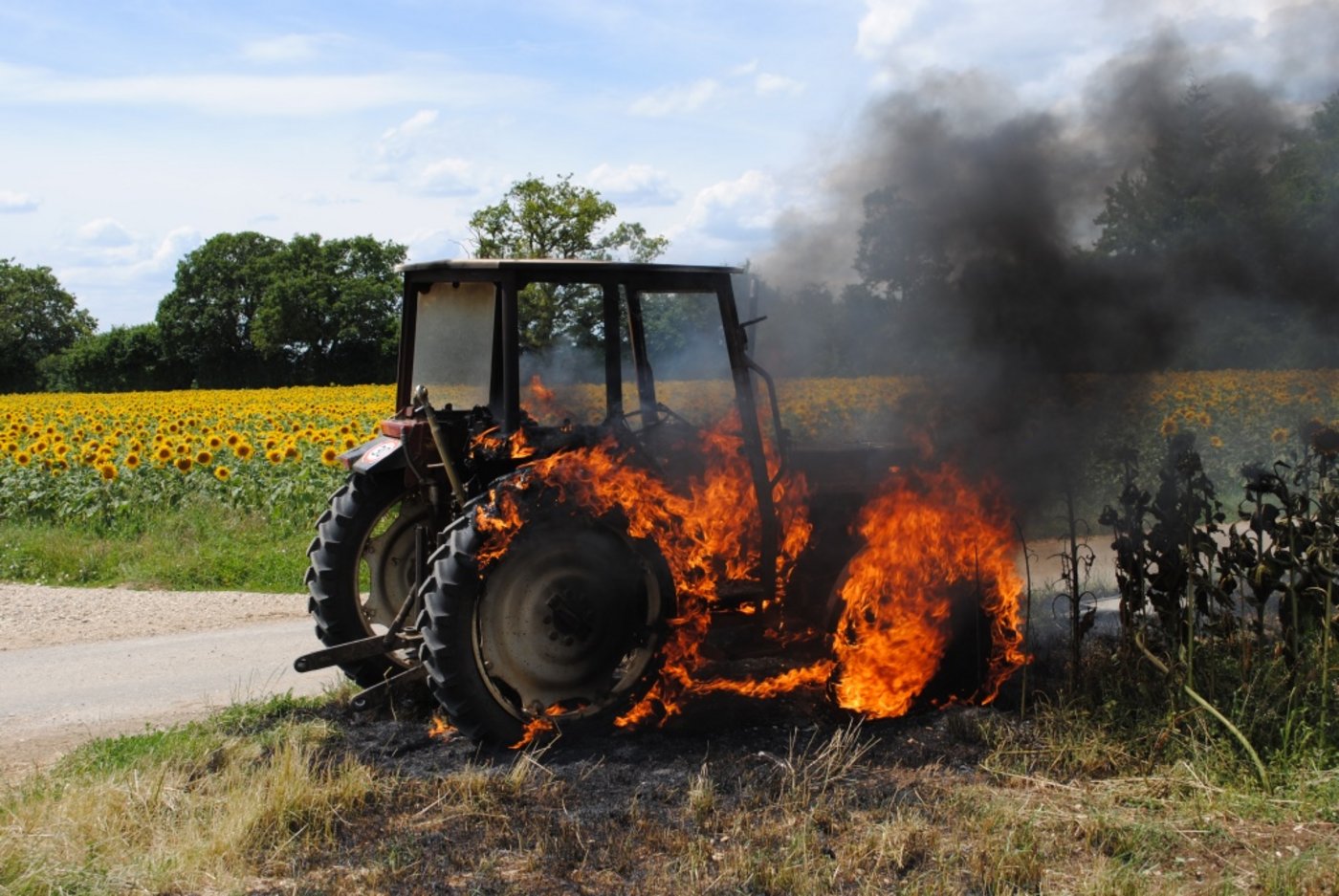 Am Traktor entstand Totalschaden. (Bild: Schaffhauser Polizei)