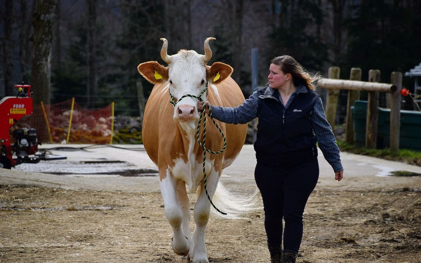 Die schöne Mirk-Tochter Eveline. 