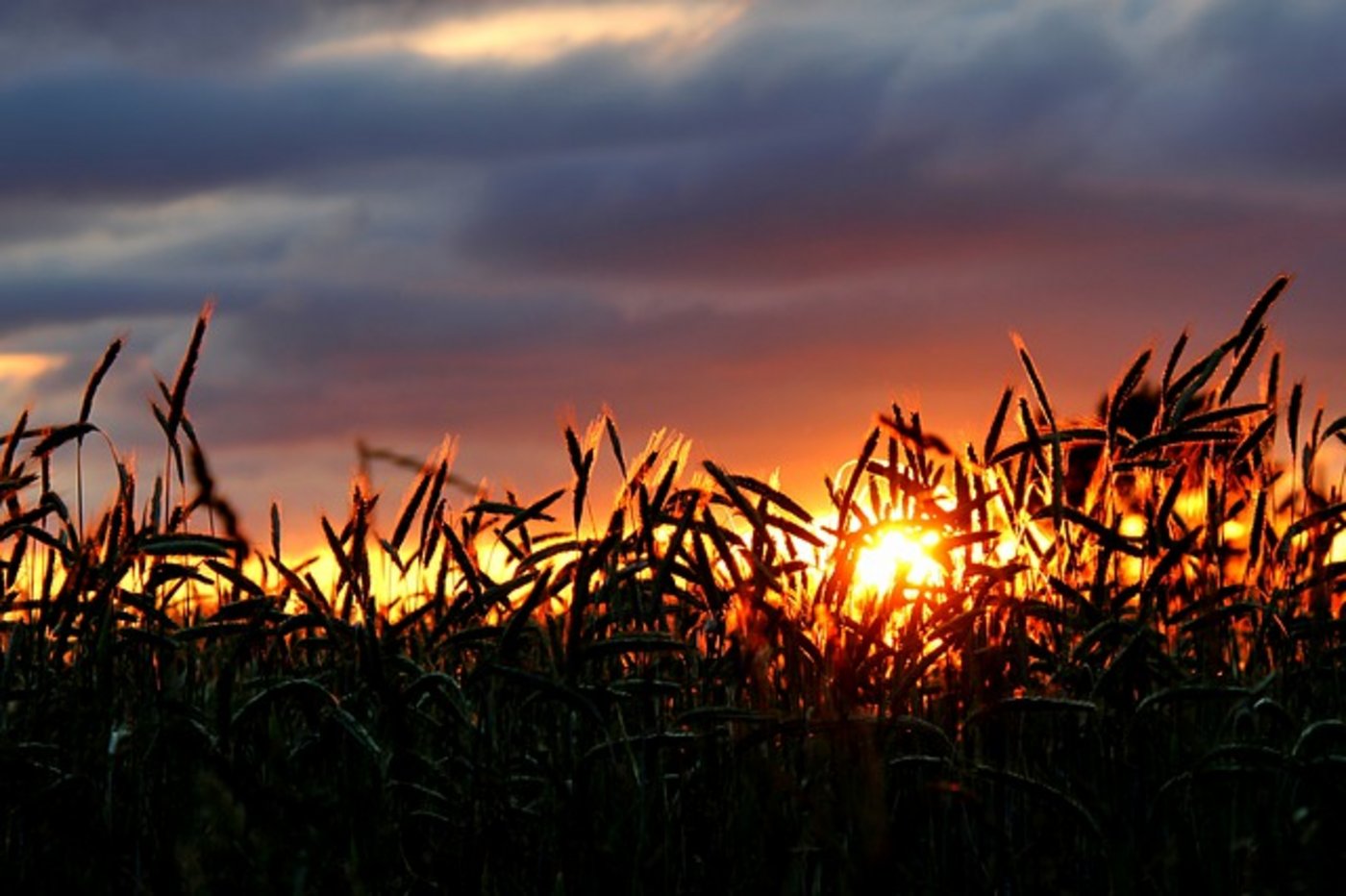 Von einer Tropennacht wird gesprochen, wenn die Temperaturen während der ganzen Nacht nicht unter 20 Grad sinken. (Bild Pixabay)