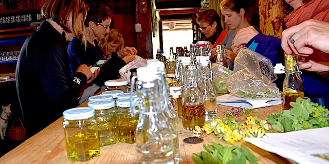 Gemeinsam etwas machen verbindet. Die «Magie der Gruppe» spürt man nicht nur beim Sammeln der Kräuter, sondern auch bei der Herstellung der Salben, Öle und Tinkturen.	(Bilder et)