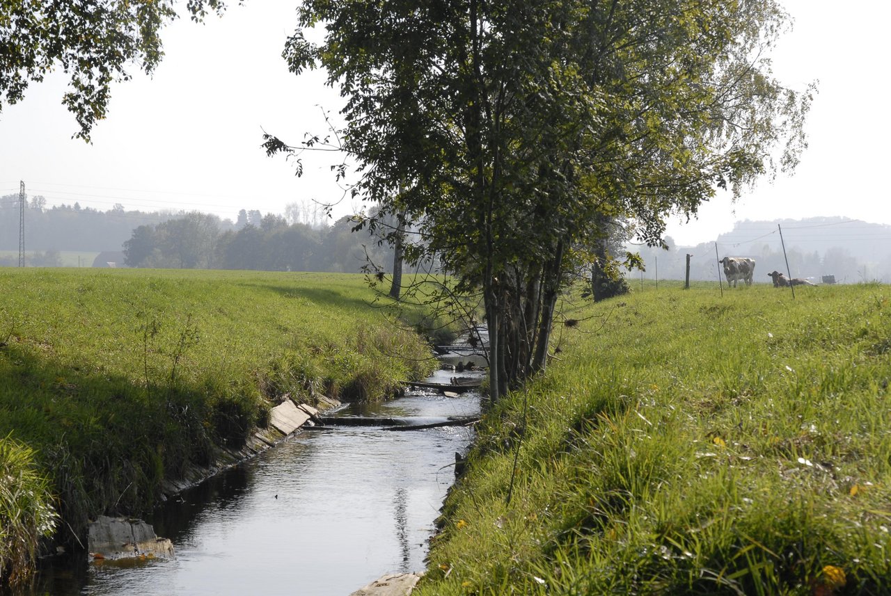 Der Kanton Schaffhausen sieht vor, 13.8 km Gewässerabschnitte aufzuwerten. (Bild BauZ)