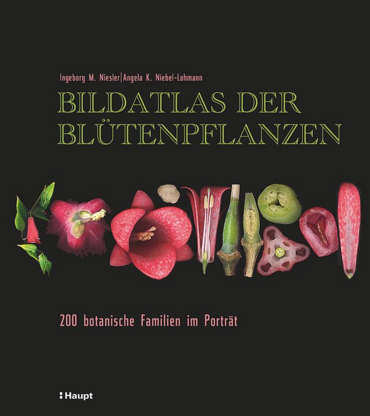 Mit dem Bildband «Bildatlas der Blütenpflanzen» gewann die Haupt Verlag AG aus Bern den ersten Preis. (Bild zVg)