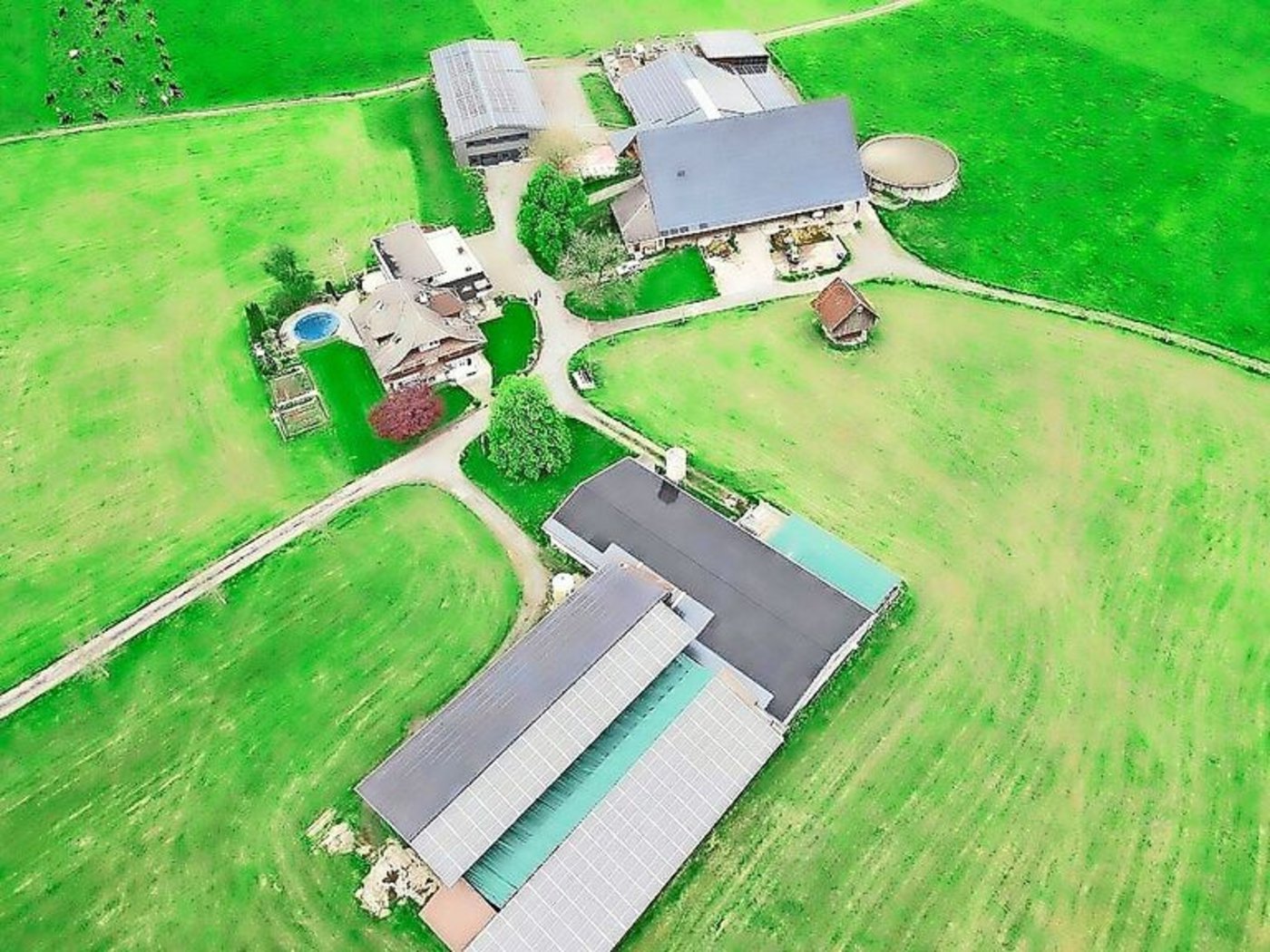 Milchwirtschaft, Schweinezucht im Abferkelring und Photovaltik sind die Betriebszweige auf dem Betrieb von Valeria Bucher.