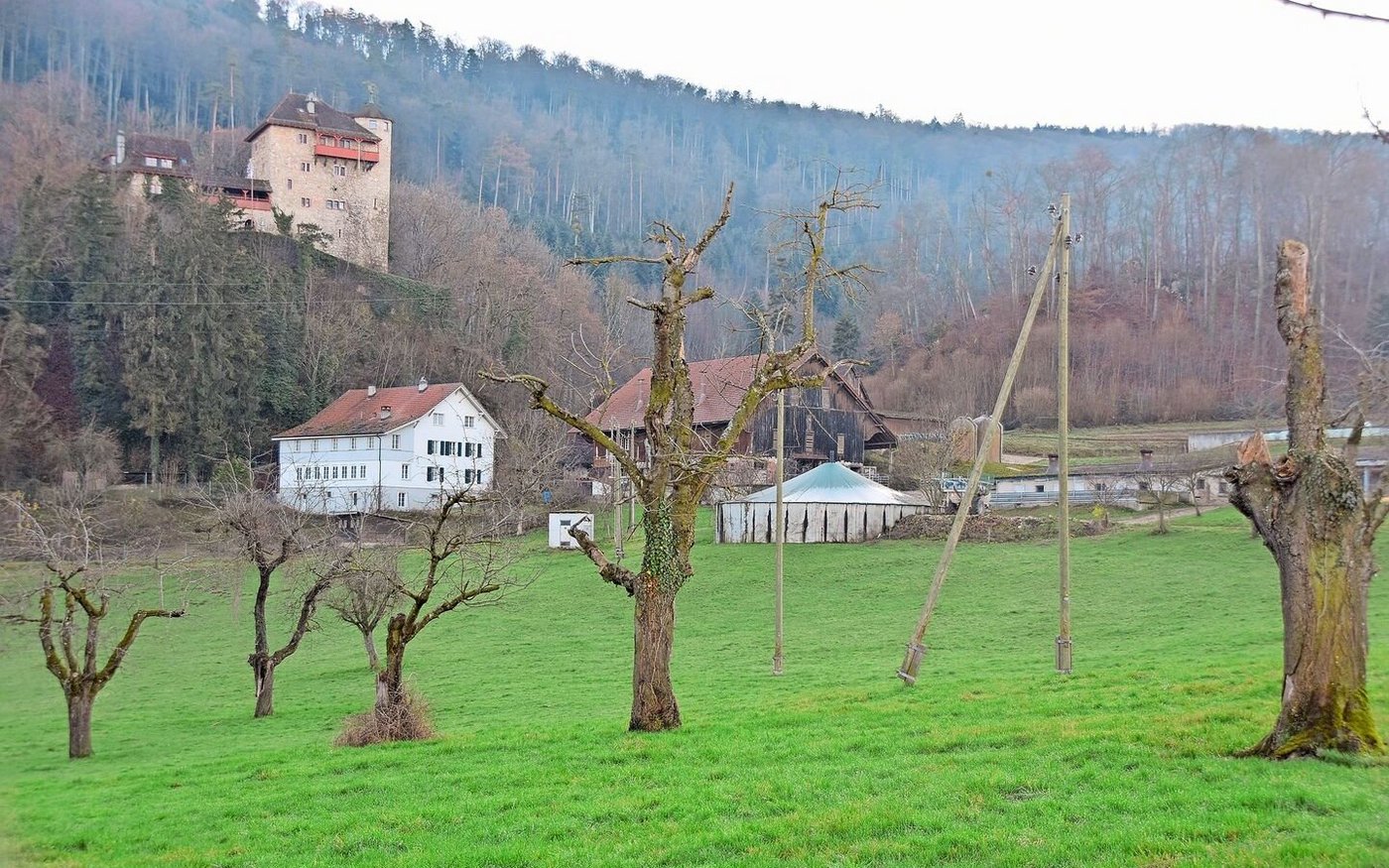 Der Betrieb von Robert Dreier liegt in Mariastein. Ackerbau, Schweinemast und Milchproduktion sind die Hauptbetriebszweige. 