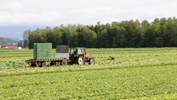 Offener Brief an Fenaco nach Einspruch gegen Seeländer Bio-Projekt: «Wie können Sie es wagen?» Mit dem offenen Brief wollen die Unterzeichnenden auch die Fenaco-Genossenschafter über ihre Empörung informieren. (Bild ji / lid)