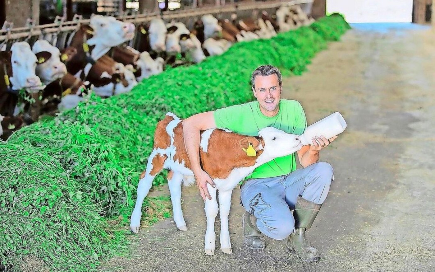 Rund vier Monate verbringen die Mastkälber auf dem Betrieb von Boris Beuret. Im Anschluss werden sie auf dem Betrieb des Bruders weitergemästet.      