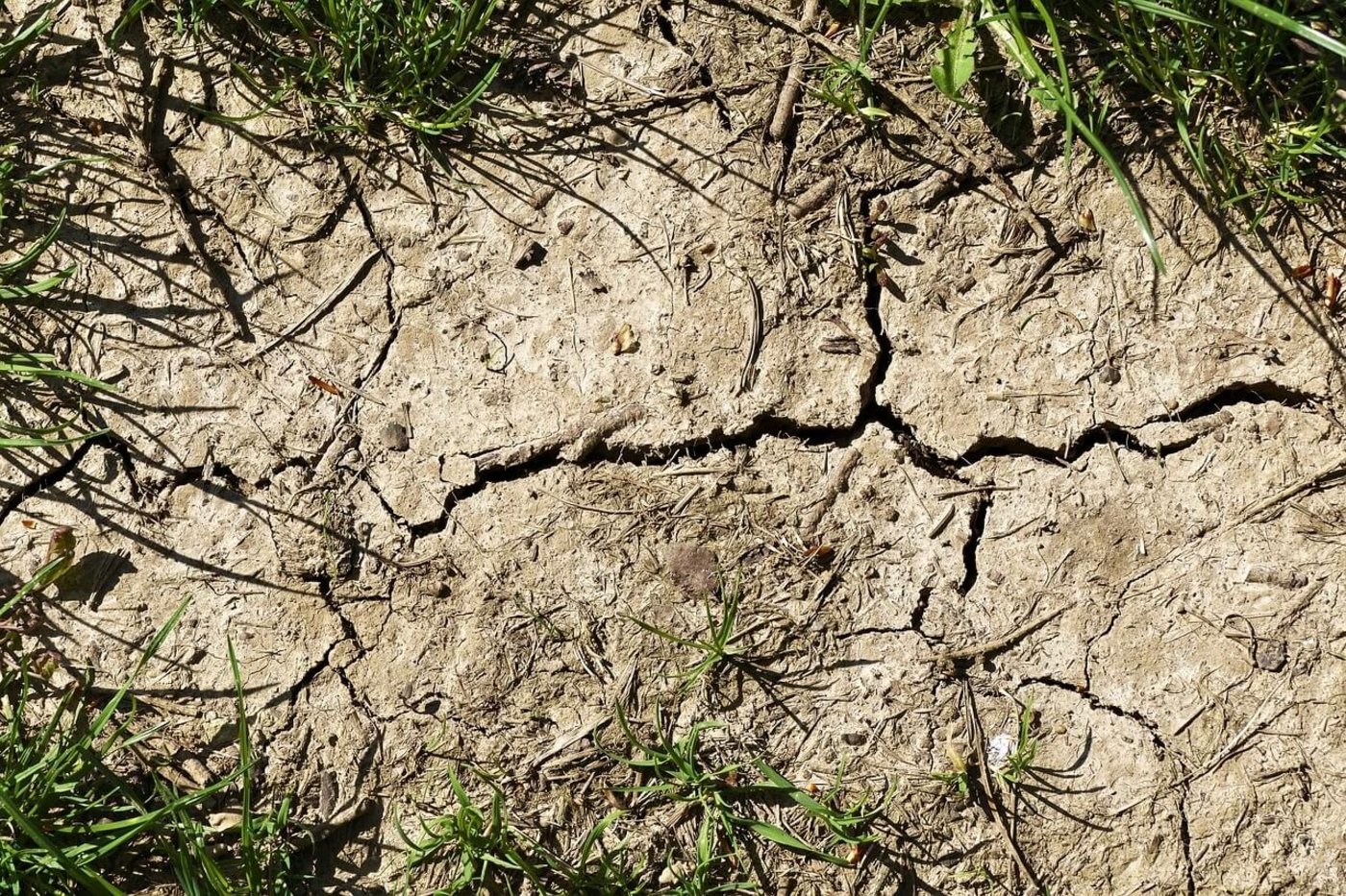 (Bild Wolfgang Eckert)