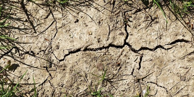 (Bild Wolfgang Eckert)