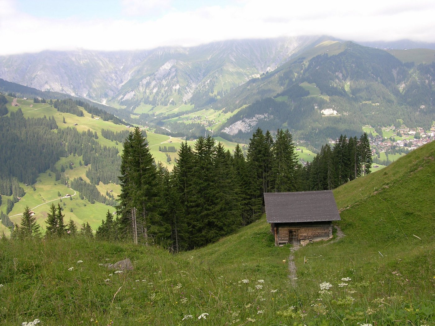 Für das Bewirtschaften von Steillagen soll es auch künftig neben den Bundesbeiträgen Kantonsgelder geben. (Bild: BauZ)