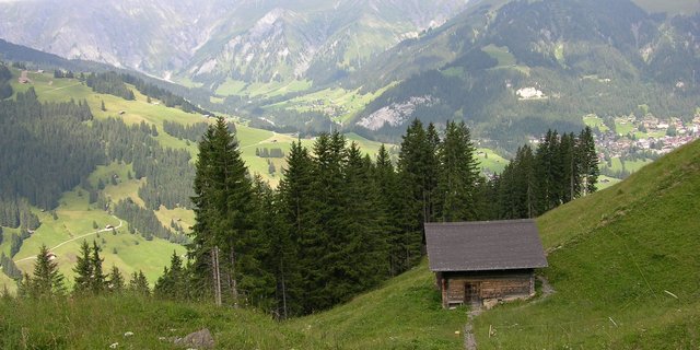 Für das Bewirtschaften von Steillagen soll es auch künftig neben den Bundesbeiträgen Kantonsgelder geben. (Bild: BauZ)