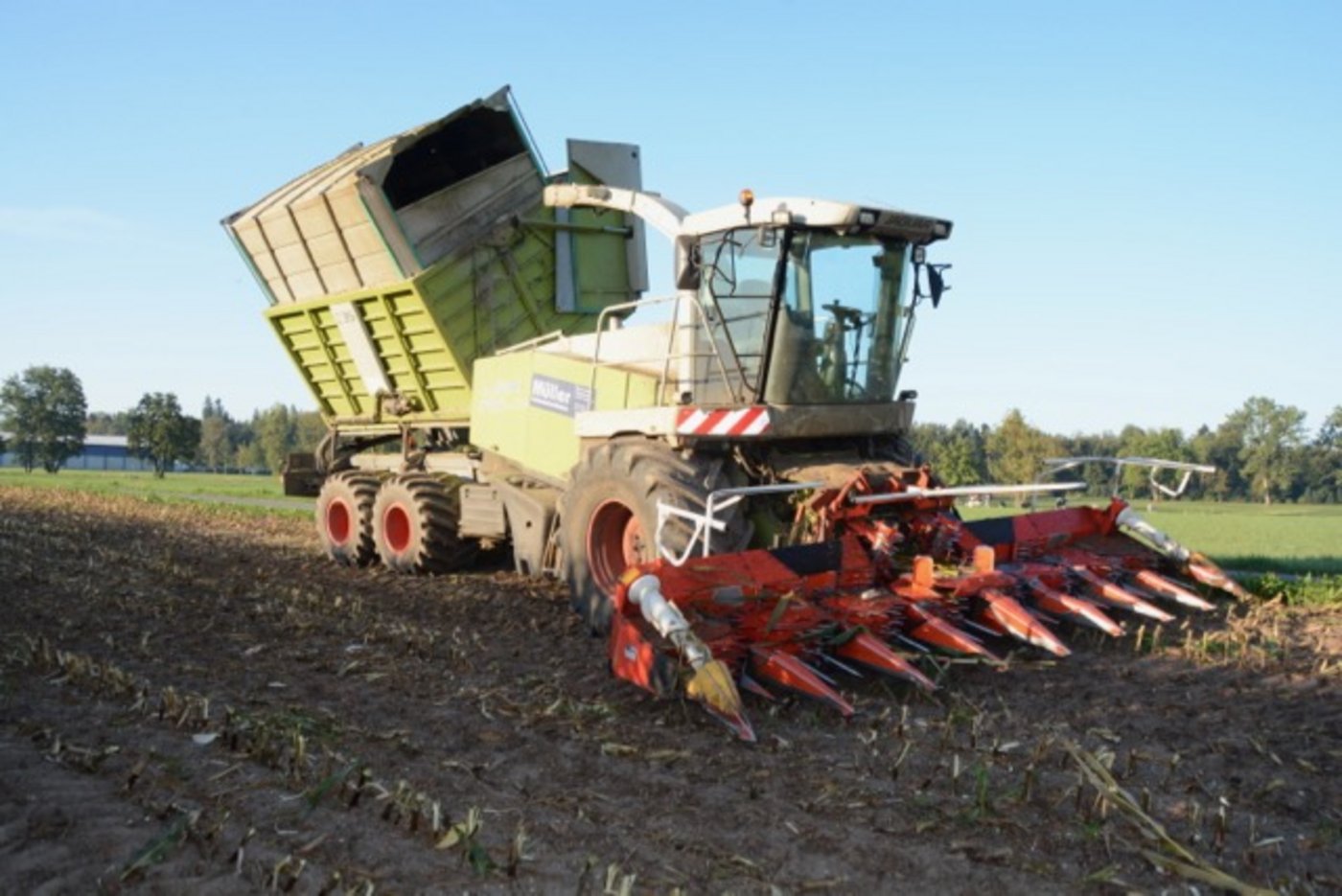 Lohnunternehmer Marco Müller aus Rickenbach LU bei der Arbeit mit dem Bunkerhäcksler. 