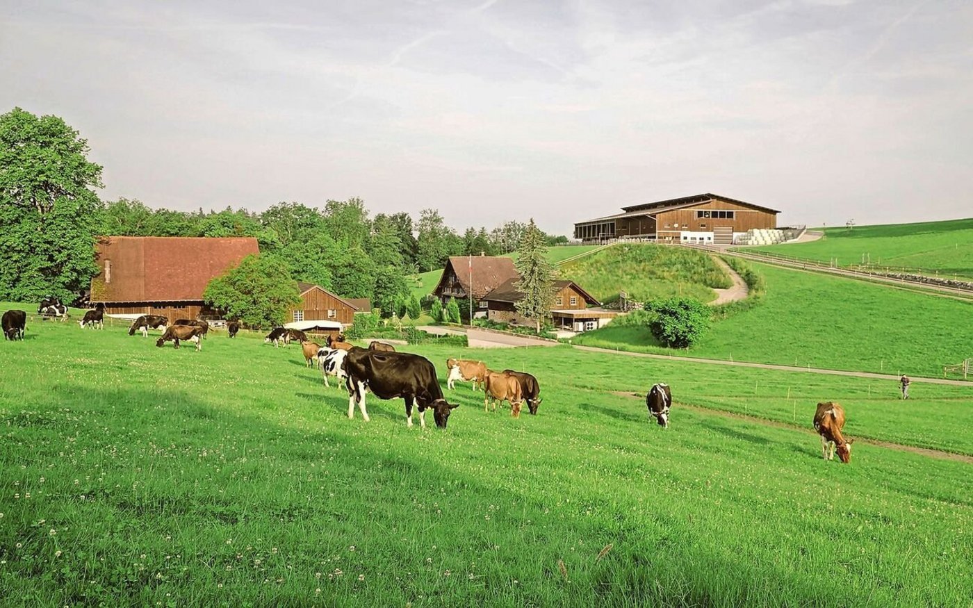 Ernst Brunners neugebauter und voll automatisierter Stall wurde 2022 fertig. Er thront 20 Höhenmeter entfernt vom Wohnhaus und den übrigen Betriebsgebäuden.