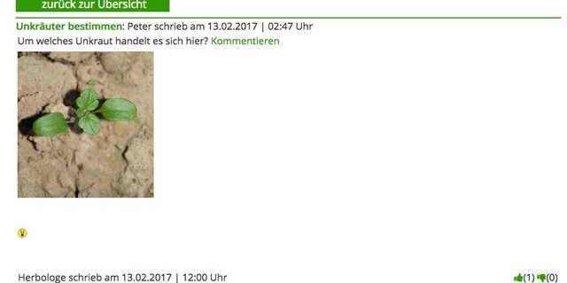 Landwirte können Bilder von Unkräutern hochladen und bekommen Hilfe beim Bestimmen. (Bild Screenshot weedscout.com)