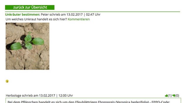 Landwirte können Bilder von Unkräutern hochladen und bekommen Hilfe beim Bestimmen. (Bild Screenshot weedscout.com)