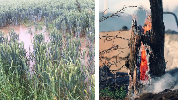 Die Lage des Starkwindbandes Jetstream ist entscheidend für unser Wetter. Dass es sich in Bögen um die Erde bewegt, ist normal. Problematisch wird es, wenn die Wellentäler und -berge über längere Zeit verharren. (Bild jsc / Pixabay)