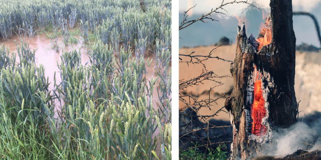 Die Lage des Starkwindbandes Jetstream ist entscheidend für unser Wetter. Dass es sich in Bögen um die Erde bewegt, ist normal. Problematisch wird es, wenn die Wellentäler und -berge über längere Zeit verharren. (Bild jsc / Pixabay)