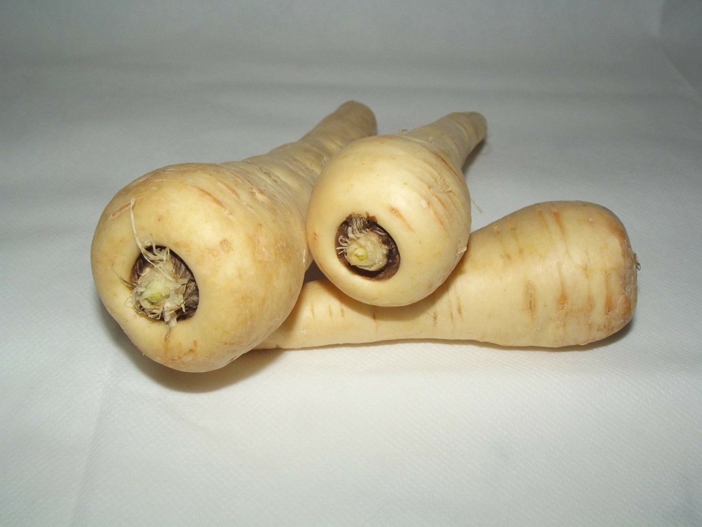 Von der Form her sehen Pastinaken ähnlich aus wie weisse Rüben oder Rüebli, geschmacklich hingegen erinnern sie an Sellerie oder Kartoffeln. (Bild Pixabay)