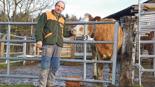 Urs Gygax aus Schüpberg BE möchte neben der Milchwirtschaft auf die Pouletmast setzen. Auf seinem Grundstück plant er, zusammen mit der  Familie Schlup eine Halle mit max. 18'000 Poulets. (Bild Peter Fankhauser)