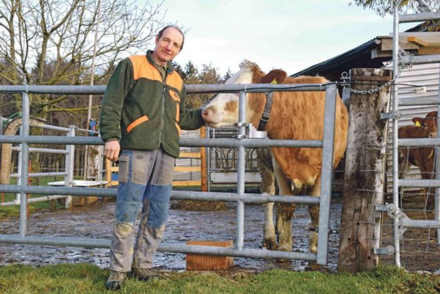 Urs Gygax aus Schüpberg BE möchte neben der Milchwirtschaft auf die Pouletmast setzen. Auf seinem Grundstück plant er, zusammen mit der   Familie Schlup eine Halle mit max. 18'000 Poulets. (Bild Peter Fankhauser)