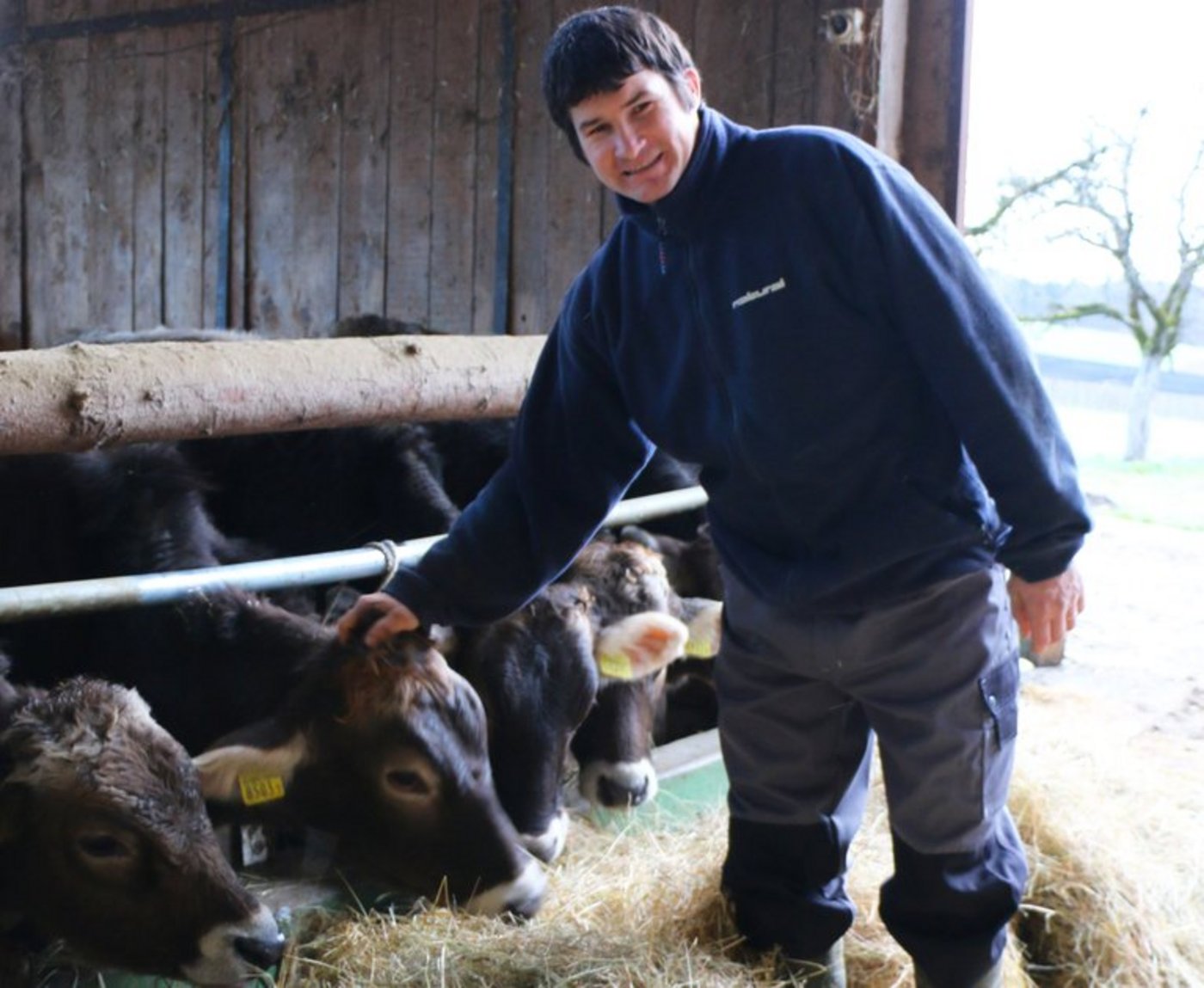 Daniel Zellweger verfolgt eine klare Strategie: Seine Herde soll einmal genetisch hornlos sein. (Bild Eveline Dudda)