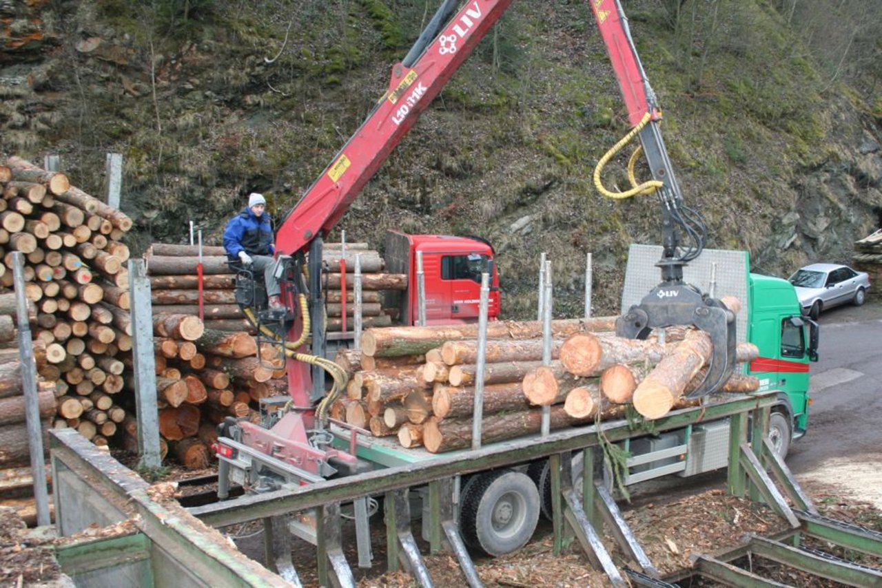 Das Energieholz bleibt gefragt. Die Holzschnitzel- und Stückholzpreise bleiben stabil, die Preise für Holzpellets sind gestiegen. (Bild: zVg)