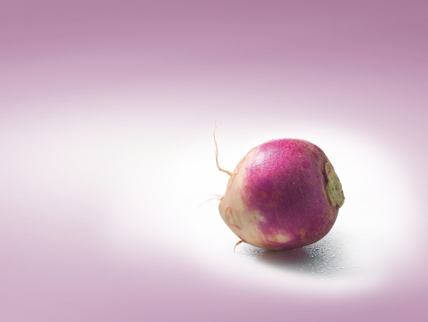 «Räbe» sind reich an Ballaststoffen, an Vitamin C, welches das Immunsystem stärkt, sowie an Kalium und Kalzium. (Bild VSGP)