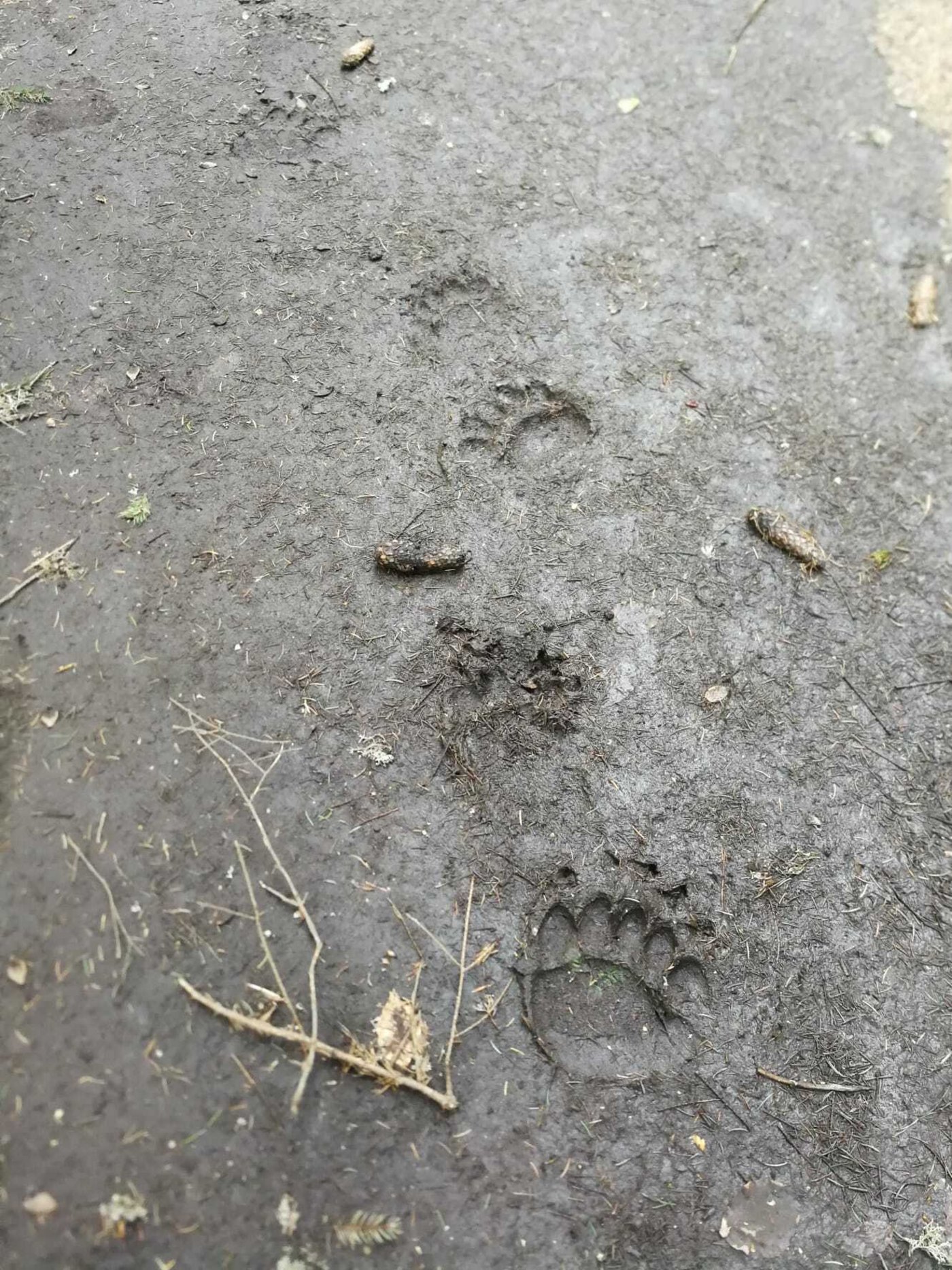 Auf dem Ausflug entdeckten die Studierenden interessante Spuren. 